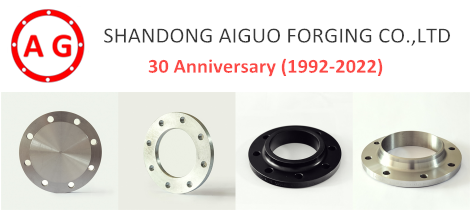 AG Flange - ¡Promoción de Carnaval del 30 Aniversario!